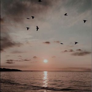 Meet your Posher, Silvia